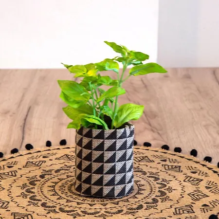 Romanos Beach Villas Aparthotel